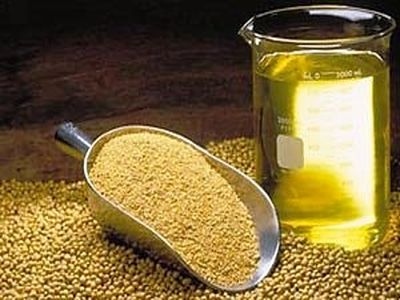 معاون وزیر جهاد کشاورزی: 443 تن انواع دانه های روغنی خریداری شد