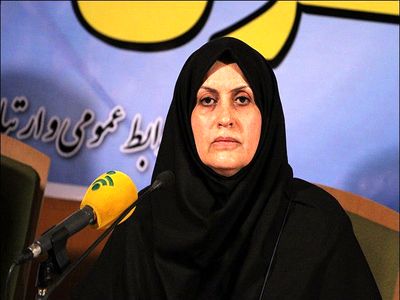 رئیس سازمان استاندارد: ورود خودروهای آمریکایی ممنوع است