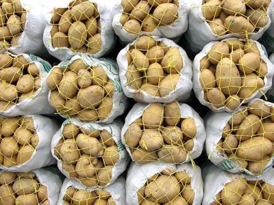 رئیس اتحادیه صادرکنندگان میوه: آقای وزیر! چرا جلوی صادرات میوه ایرانی  را به خارج گرفتید؟