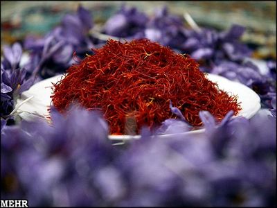نایب رئیس شورای ملی زعفران:  دلال‌ها جلوی عرضه را گرفتند تا زعفران را گران کنند