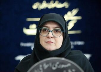 مهاجرانی: منطقی کردن قیمت بنزین از روز شنبه شروع شد / اصلاحات اقتصادی را با همراهی مردم آغاز کردیم