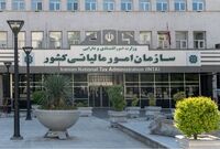 شناسایی سلطان سکه با ۲۱۹ حساب بانکی/ گردش مالی ۱۴ هزار میلیاردی خبرساز شد
