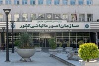 شناسایی سلطان سکه با ۲۱۹ حساب بانکی/ گردش مالی ۱۴ هزار میلیاردی خبرساز شد
