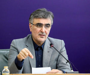 فروش اوراق مرابحه ارزی و پیش‌فروش ارز صادراتی آغاز شد/ فرزین خبر داد
