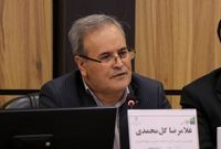 تولید برنج هیبرید با عملکرد 6 تن در هکتار با کمک چین/ واردات ارقام نیشکر چینی با عملکرد 2 برابر
