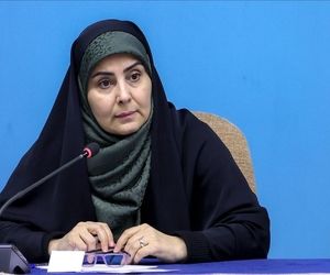 صادق: خدمات ایرلاین‌ها باید با قیمت بلیت منطبق باشد
