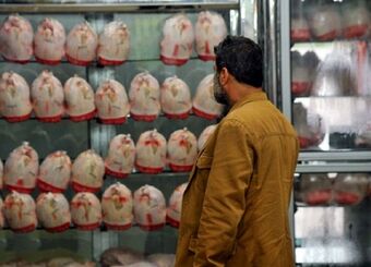 خبر مهم استانداری تهران درباره کنترل بازار مرغ/ ترمز افزایش قیمت مرغ کشیده شد؟
