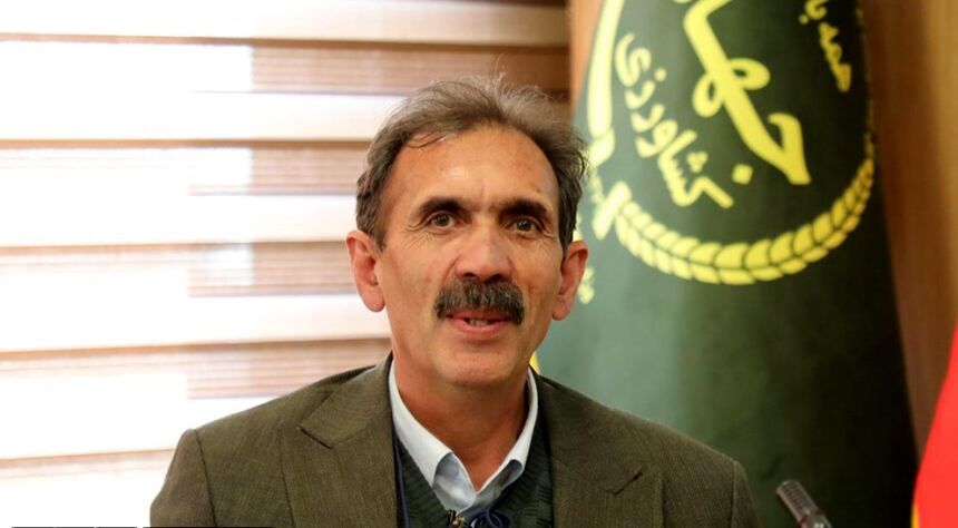 عملکرد گندم و جو دیم 2 برابر شد