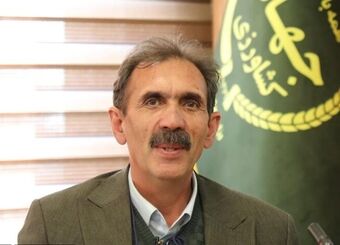 عملکرد گندم و جو دیم 2 برابر شد
