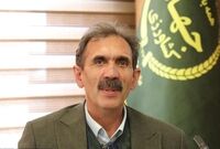 عملکرد گندم و جو دیم 2 برابر شد
