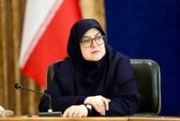 مهاجرانی:عبور از ناترازی برق تابستان با کمک مردم، بخش دولتی و خصوصی
