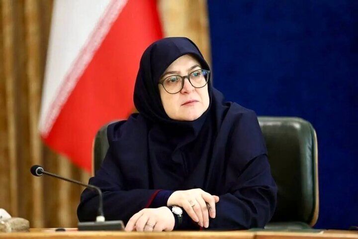 مهاجرانی:عبور از ناترازی برق تابستان با کمک مردم، بخش دولتی و خصوصی
