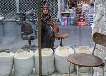 شوک بزرگ به بازار برنج / قیمت جدید برنج پاکستانی اعلام شد
