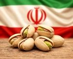 نبرد پسته در بازار جهانی/ آمریکا جایگزین ایران شد
