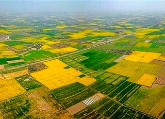 70 درصد اراضی کشاورزی سنددار شدند