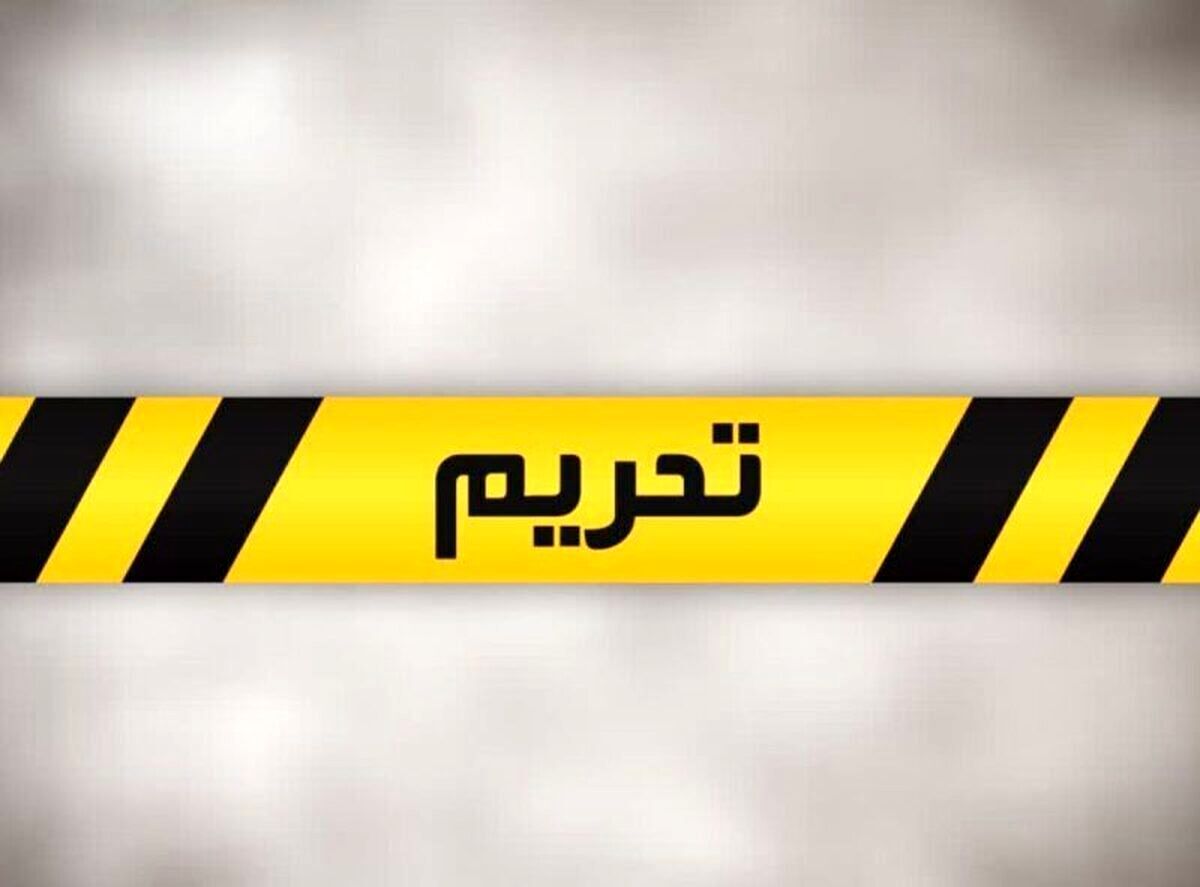 اگر ژاپن به اندازه ایران تحریم شود، خودروسازی آن یک ماهه تعطیل می‌شود