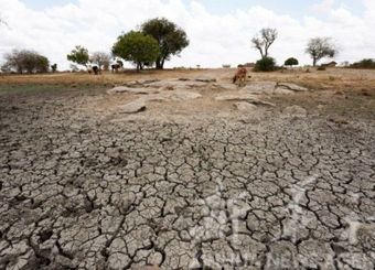 ایلام گرفتار خشکسالی؛ کشاورزی و منابع طبیعی در آستانه بحران
