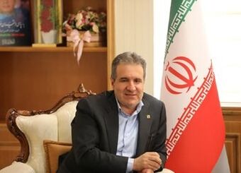 آثار حذف ارز ترجیحی بر صنعت کفش