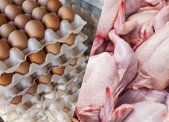 جزئیات کاهش قیمت مرغ، تخم مرغ و گوشت قرمز در بازار
