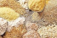 کمبود نهاده نداریم، مسئله اصلی تأمین سرمایه در گردش است
