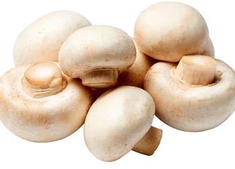 قیمت هر کیلو گرم قارچ فله‌ای مشخص شد/ گران‌تر نخرید
