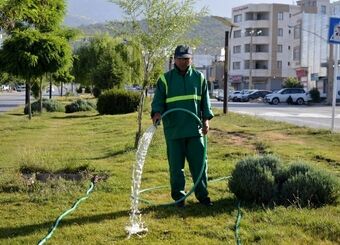 بحران بزرگ در پایتخت؛ آبیاری فضای سبز با شلنگ در روزهای بی‌آبی 