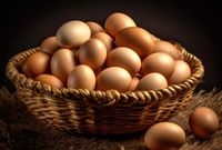 قیمت مصوب تخم‌مرغ درب مرغداری هر کیلو گرم چند؟
