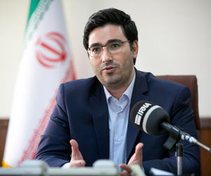 افزایش ۵۰ درصدی سقف تعهدات گندم در صندوق بیمه کشاورزی
