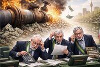 اشتباه مجلسی؛ محاسبه عجیب یک نماینده از گازبهای خانگی