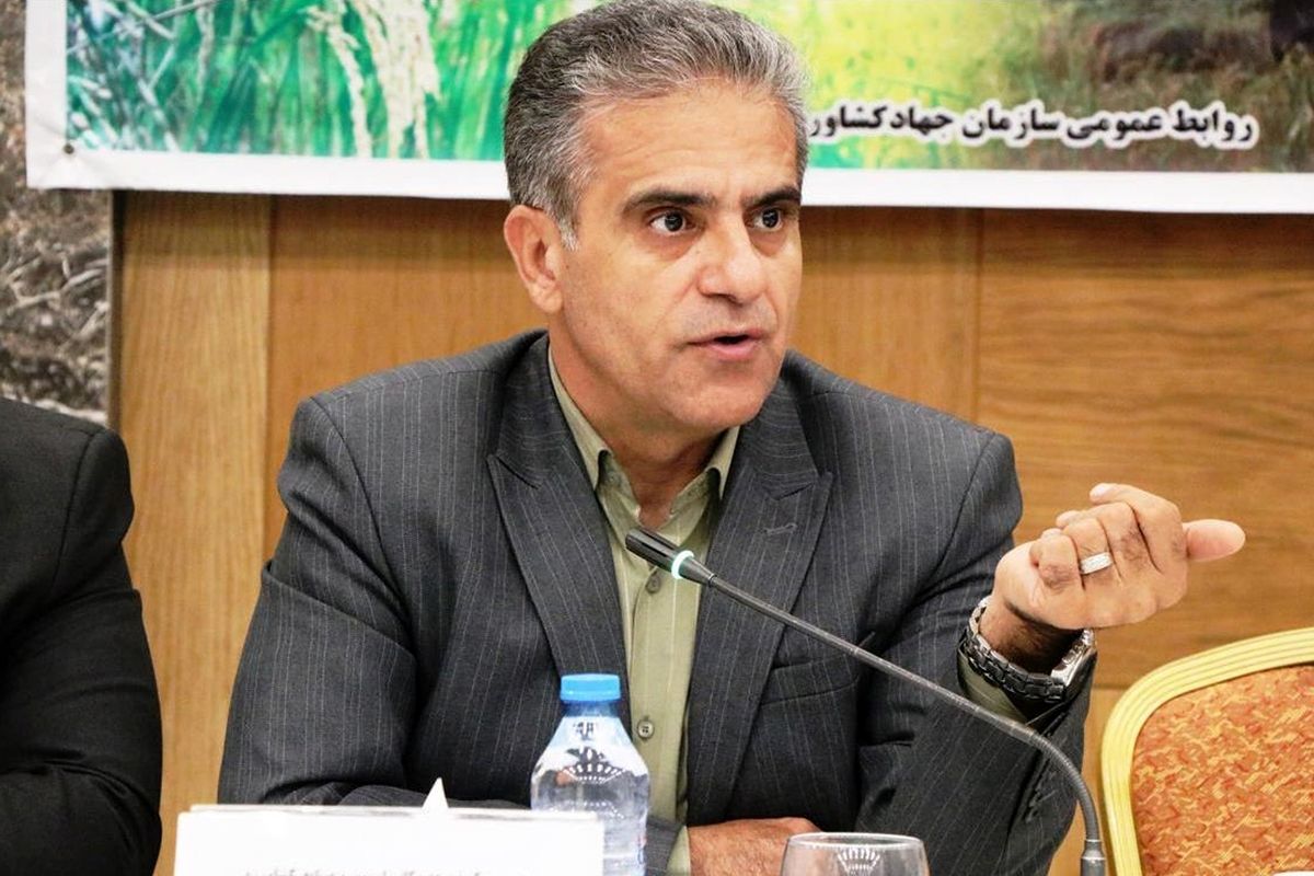 ۱۷۰ همت منابع مالی برای توسعه صنایع تبدیلی نیاز است
