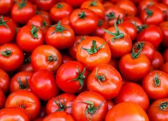 بازار صادراتی جان گرفت / دستور تازه گمرک برای خروج آزادانه سه کالای حساس
