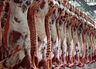 واردات شوکه‌کننده گوشت قرمز / گوشت تازه و منجمد به کشور رسید
