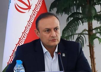 فقط ۳۰ درصد از ارز تخصیصی به صنعت خودرو برای خودروهای تولید داخل است