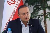 فقط ۳۰ درصد از ارز تخصیصی به صنعت خودرو برای خودروهای تولید داخل است