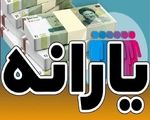 جزئیات طرح جدید دولت برای خرید اقساطی کالا+ جزییات
