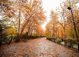 بارش 1.9 میلی‌متری باران در آغاز پاییز؛ بارندگی در 21 استان کشور صفر شد

