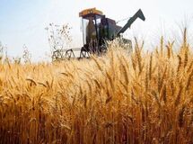 خبر خوش دولت برای کشاورزان/ نگران این پرداختی نباشید