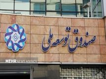 تسهیلات ریالی صندوق توسعه ملی تنها با مدل ریال مانایی پرداخت خواهد شد