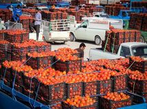 بازار بهم ریخت / گوجه فرنگی دوباره گران شد
