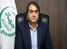 تزریق مرغ منجمد به بازار با نرخ مصوب ۸۶ هزار تومان
